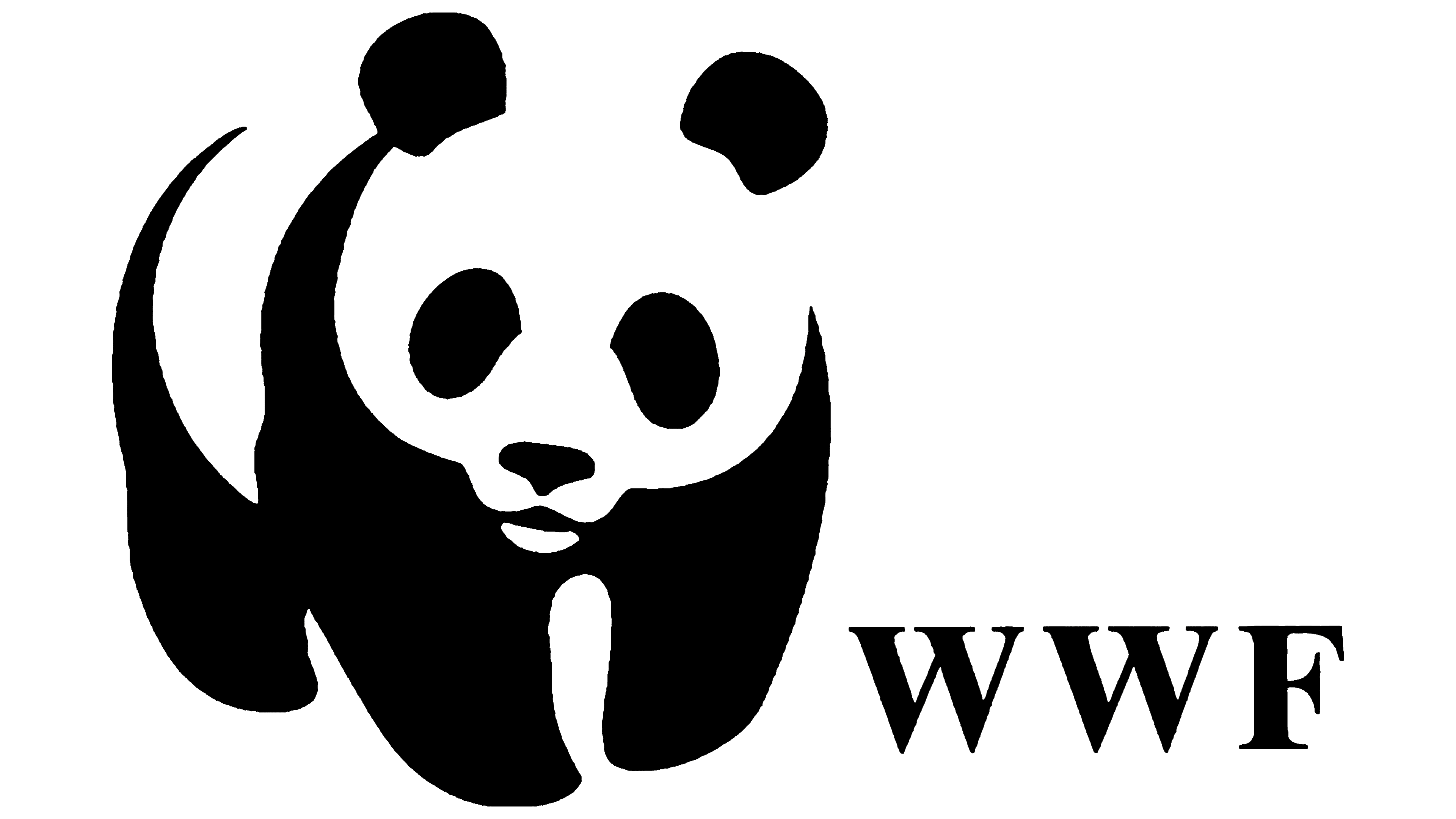 Magnon partner
